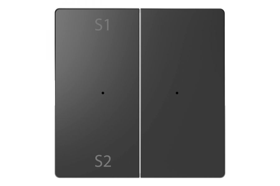 Клавиша двойная Schneider Electric Merten D-Life MTN5226-6034