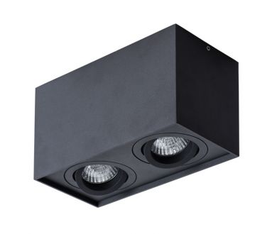 Потолочный светильник Arte Lamp Factor A5544PL-2BK