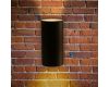 Уличный настенный светильник Arte Lamp Alcyone A6109AL-2BK