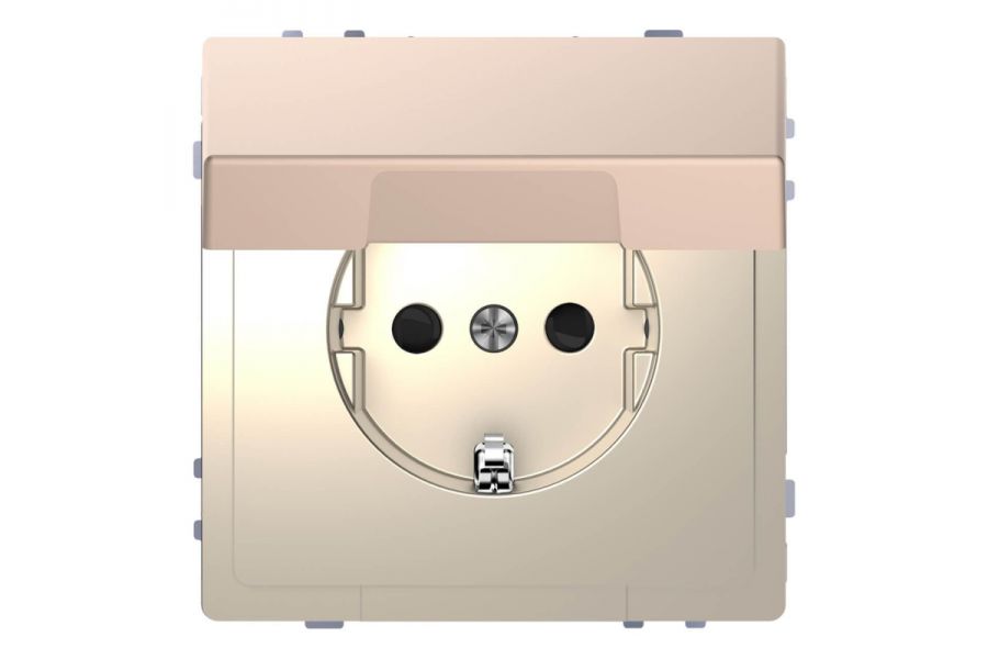 Розетка Schneider Electric Merten D-Life 16A с/з и крышкой MTN2310-6051