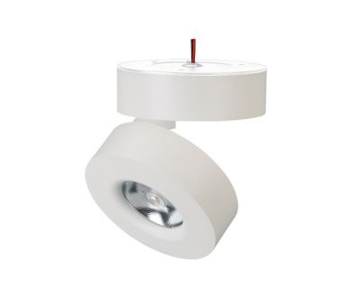 Спот Arlight SP-Mona-Surface-R100-12W Day4000 025439(1)