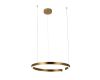 Подвесной светодиодный светильник Loft IT Ring 10013L