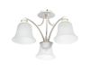 Потолочная люстра Arte Lamp Emma A2713PL-3WG