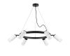 Подвесная люстра Lightstar Rullo (571016+214436-6+202431-6) LR0163661