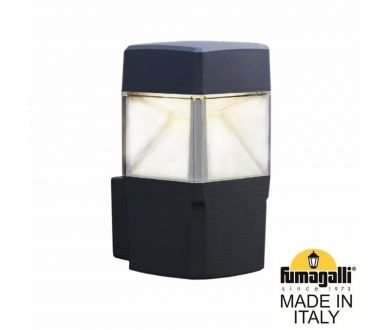 Уличный настенный светильник Fumagalli Elisa DS2.562.000.AXD1L