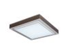 Потолочный светодиодный светильник iLedex Summery B6233-117W/520*520 WH