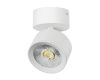 Накладной светильник Alta Pro Lightstar A5536SO
