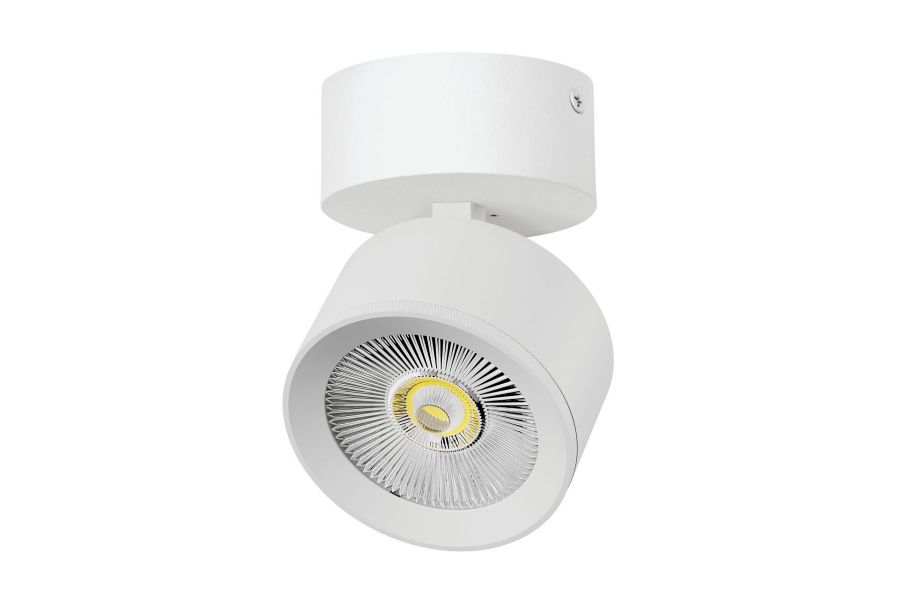 Накладной светильник Alta Pro Lightstar A5536SO
