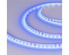 Светодиодная лента Arlight RT-A120-5mm 24V Blue (9.6 W/m, IP20, 2835, 5m) 015660(3)