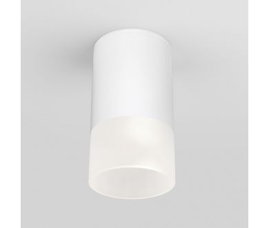 Уличный потолочный светильник Elektrostandard Light LED 4690389177927