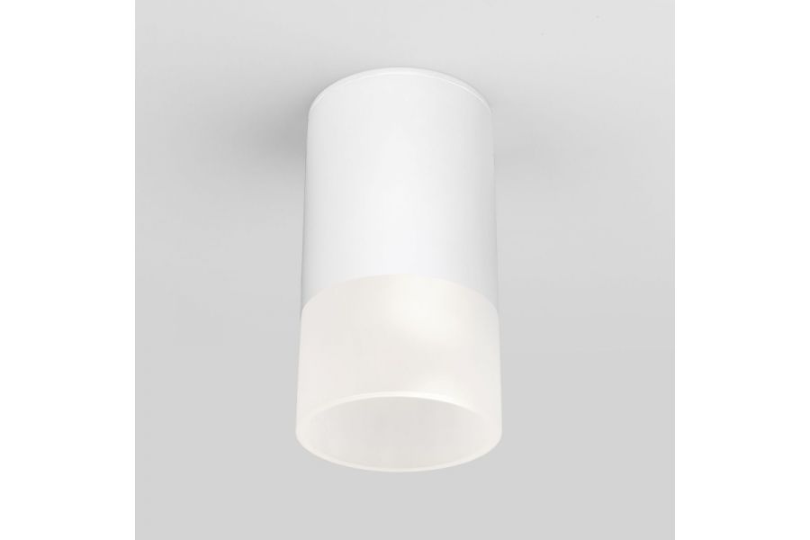 Уличный потолочный светильник Elektrostandard Light LED 4690389177927