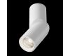 Накладной спот Maytoni Dafne C027CL-L10W4K