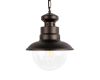 Уличный подвесной светильник Loft IT Piemonte 100022P
