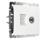 Розетка ТВ+Ethernet Werkel 4690389174414 W1181301