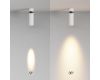 Спот Maytoni Technical Focus Led C055CL-L12W2.7K-SS-W