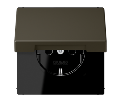 Розетка 2K+З с крышкой Jung LC1520BFKL241