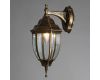 Уличный настенный светильник Arte Lamp Pegasus A3152AL-1BN