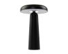 Настольная аккумуляторная лампа Freya Mushroom FR6109TL-L4B