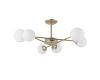 Люстра на штанге ARTE Lamp A2703PL-6SG