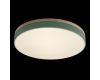Потолочный светильник Loft IT AXEL 10001/36 Green