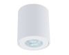 Накладной светильники Arte Lamp Tino A1469PL-1WH