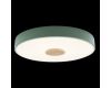 Потолочный светильник Loft IT AXEL 10003/24 Green
