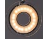 Светодиодный спот Arte Lamp 12 A8971PL-4CC