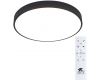 Потолочный светодиодный светильник Arte Lamp Arena A2672PL-1BK