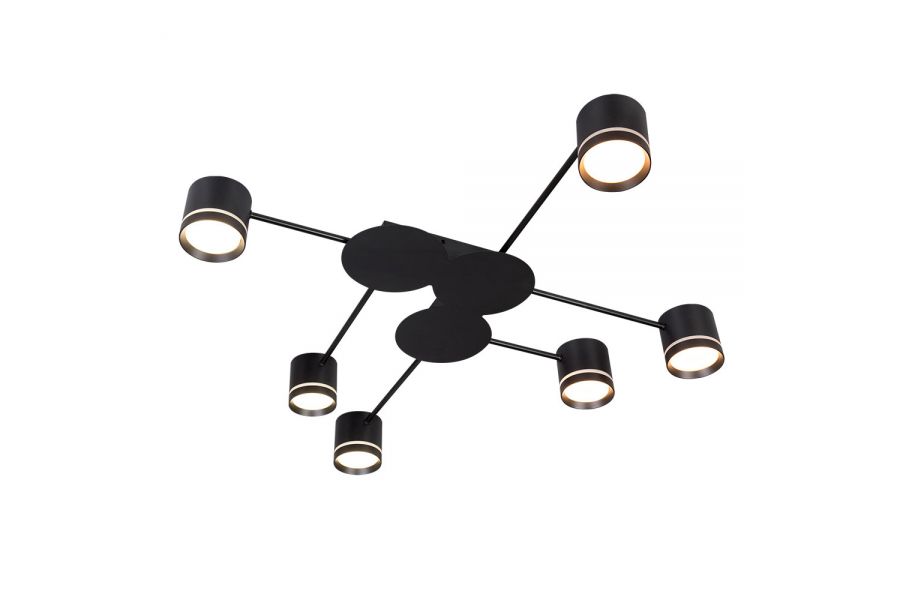 Потолочная люстра Arte Lamp Legacy A8024PL-6BK