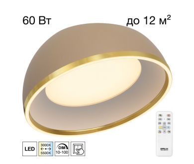 Потолочный светильник Citilux Floom CL736152