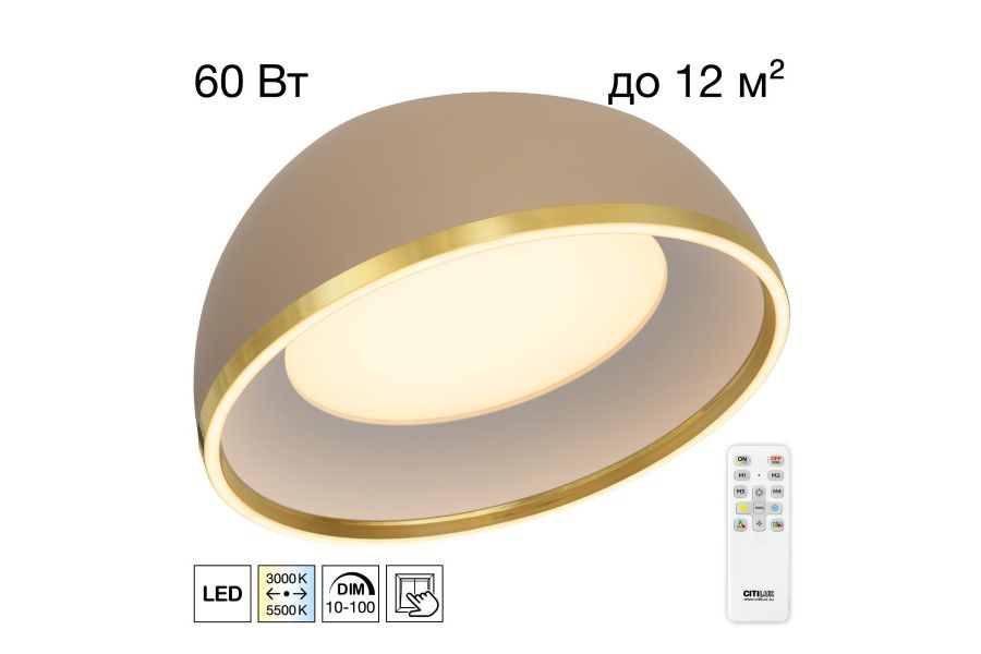 Потолочный светильник Citilux Floom CL736152