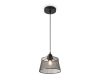 Подвесной светильник Freya Cobweb FR4024PL-01B