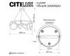 Подвесная люстра Citilux Python CL220283