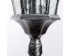 Уличный светильник Arte Lamp Genova A1206PA-1BS