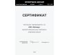 Потолочная люстра Eurosvet Force 90330/2 серый a065956