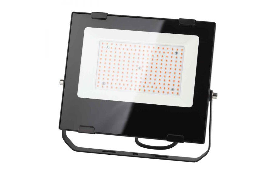 Фитопрожектор для растений ЭРА FITO-100W-RB-LED Б0046369