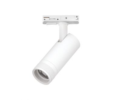 Трековый светильник для однофазного/трехфазного шинопровода Barra 20-55G с тонким адаптером Lightstar Canno Pro C4126SS