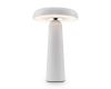 Настольная аккумуляторная лампа Freya Mushroom FR6109TL-L4W
