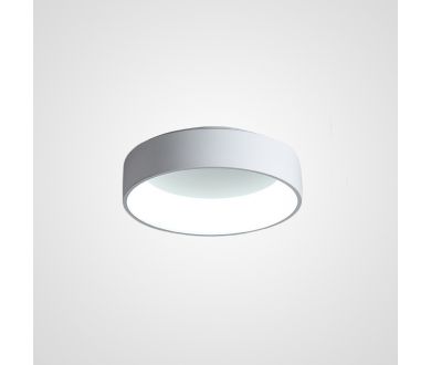 Потолочный светильник ImperiumLoft Tray 102137-26