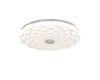 Потолочный светильник Escada Polly 610/PL LED