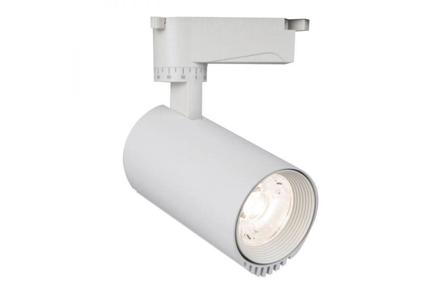 Трековый светодиодный светильник Escada 20031TRA/02LED SWH