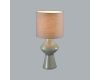 Настольная лампа Lumion Moderni Segi 8129/1T