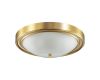 Настенно-потолочный светильник Lumion Vintage 5259/3C