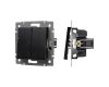 Механизм выключателя двухклавишный непроходной Arlight SWT-MK02-PL-BK-V (250V, 10A) 049888