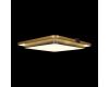 Потолочный светильник Loft IT Mike 10172