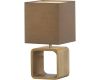 Настольная лампа Arte Lamp Woods A1010LT-1BR