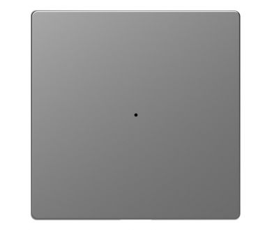 Клавиша одинарная Schneider Electric Merten D-Life MTN5210-6036