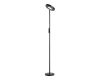 Торшер Lussole Carmel LSP-0901-SE