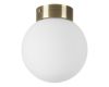Потолочный светильник Lightstar Globo 812011