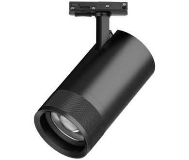 Трековый светильник для однофазного/трехфазного шинопровода Barra 20-55G с тонким адаптером Lightstar Canno Pro C4407SS